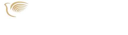 Logo White